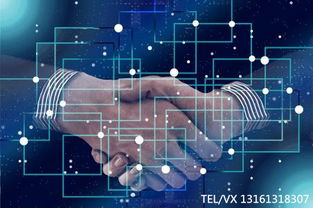 區(qū)塊鏈技術開發(fā) 應用場景概覽與技術路徑